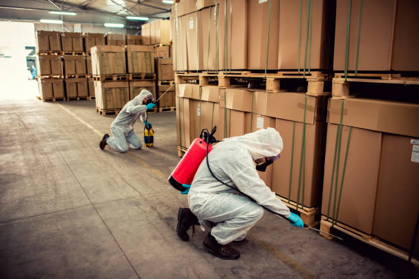 Best Mosquito Control Services  in Weston, OH