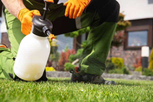 Best Flea Control Services  in Weston, OH
