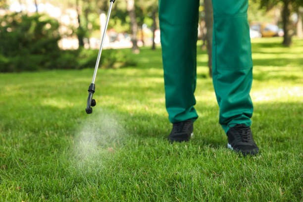 Best Exterminator Services  in Weston, OH